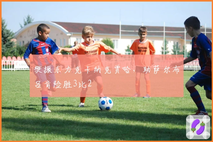 樊振东力克卡纳克贾哈，助萨尔布吕肯险胜3比2